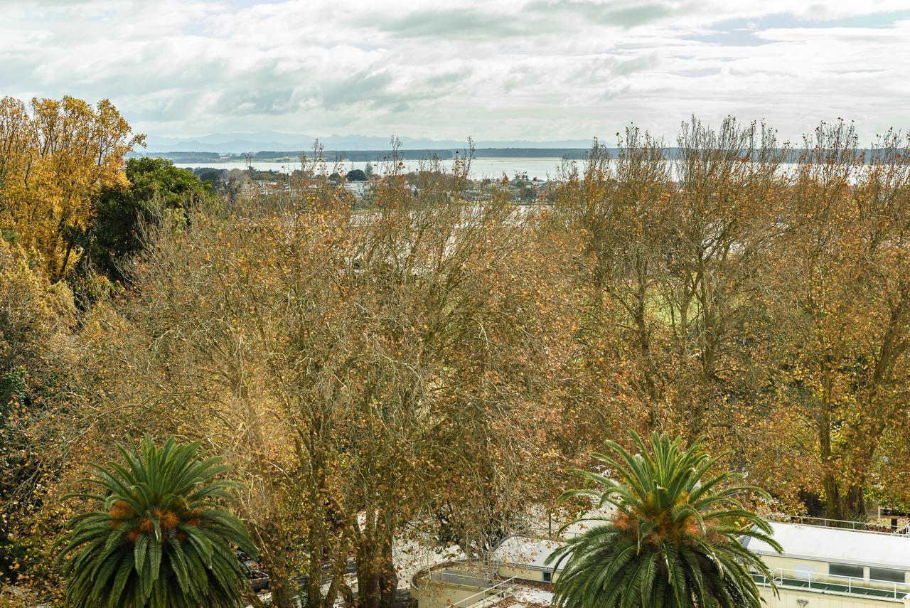 Top Of The Town Bed & Breakfast Tauranga Exterior photo